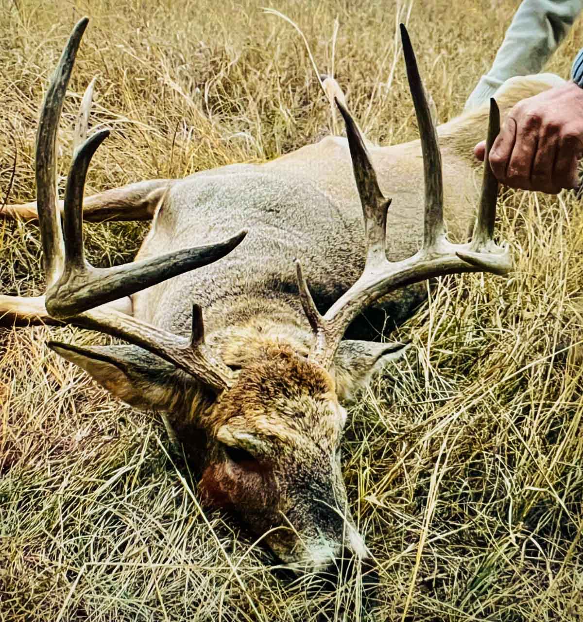 Dumbbell Ranch property picture 1 of 52