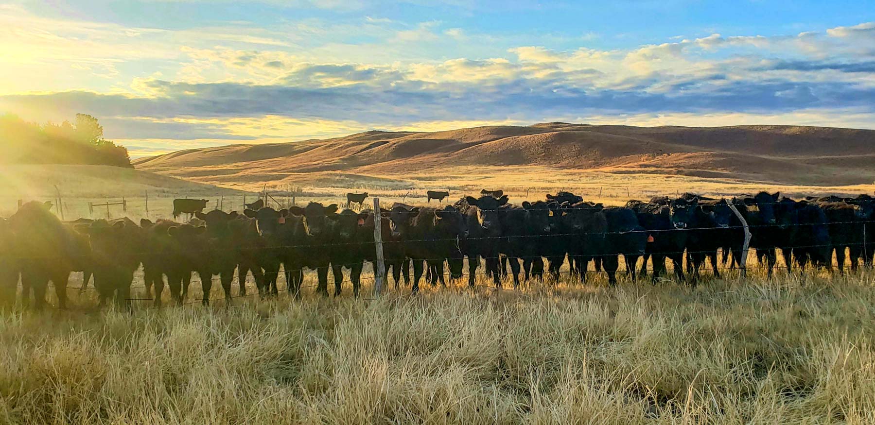 Dumbbell Ranch property picture 12 of 52