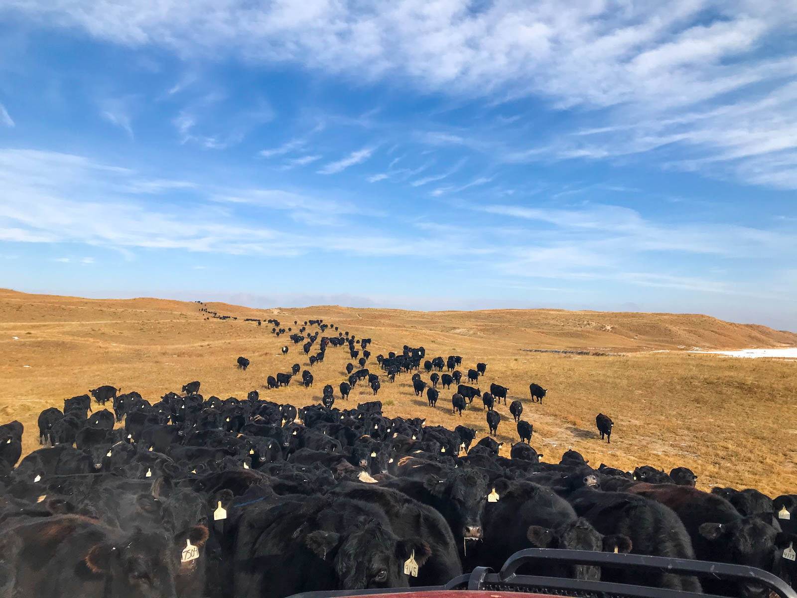 Dumbbell Ranch property picture 6 of 52