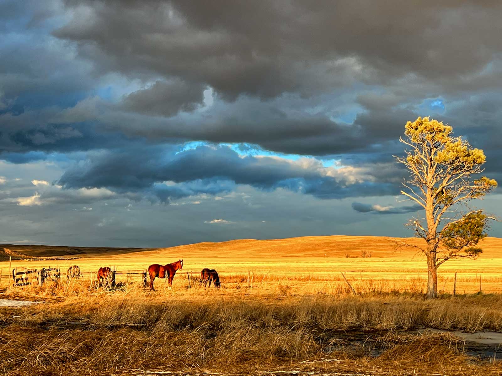 Dumbbell Ranch property picture 28 of 52