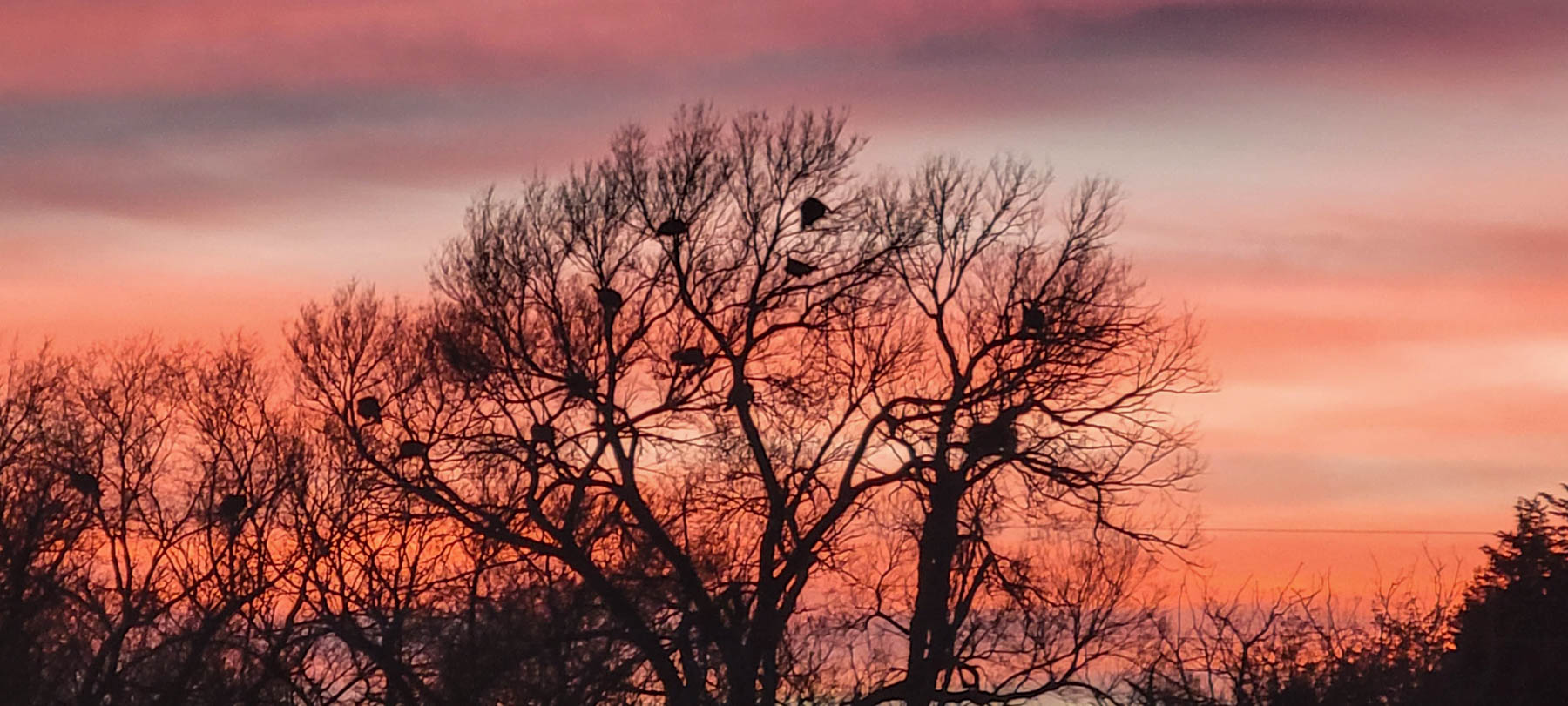 Dumbbell Ranch property picture 41 of 52