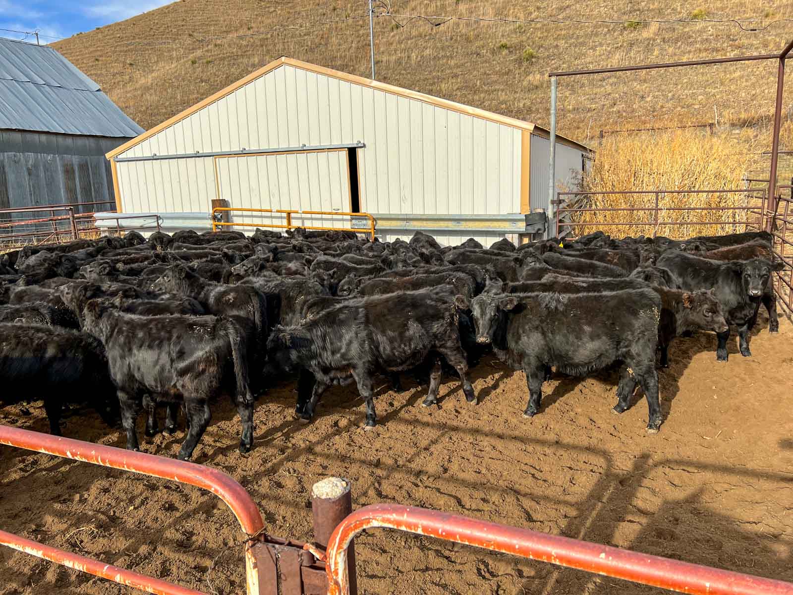 Dumbbell Ranch property picture 15 of 52