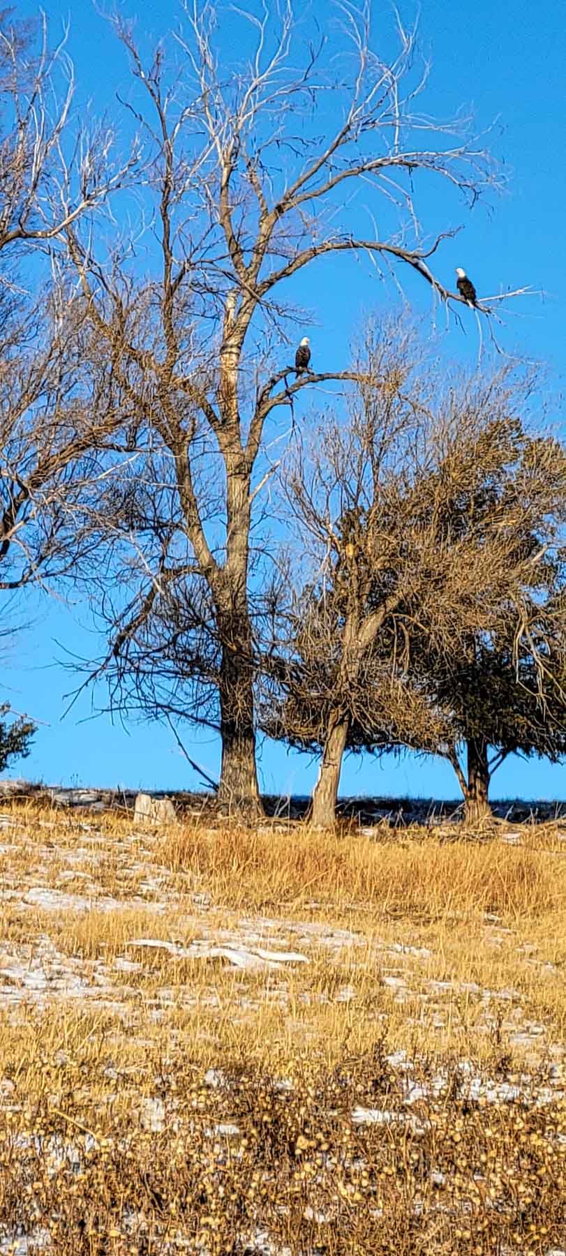 Dumbbell Ranch property picture 50 of 52