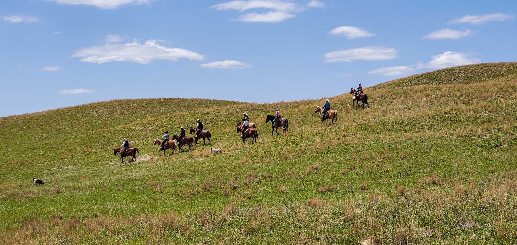 Dumbbell Ranch property picture 11 of 52