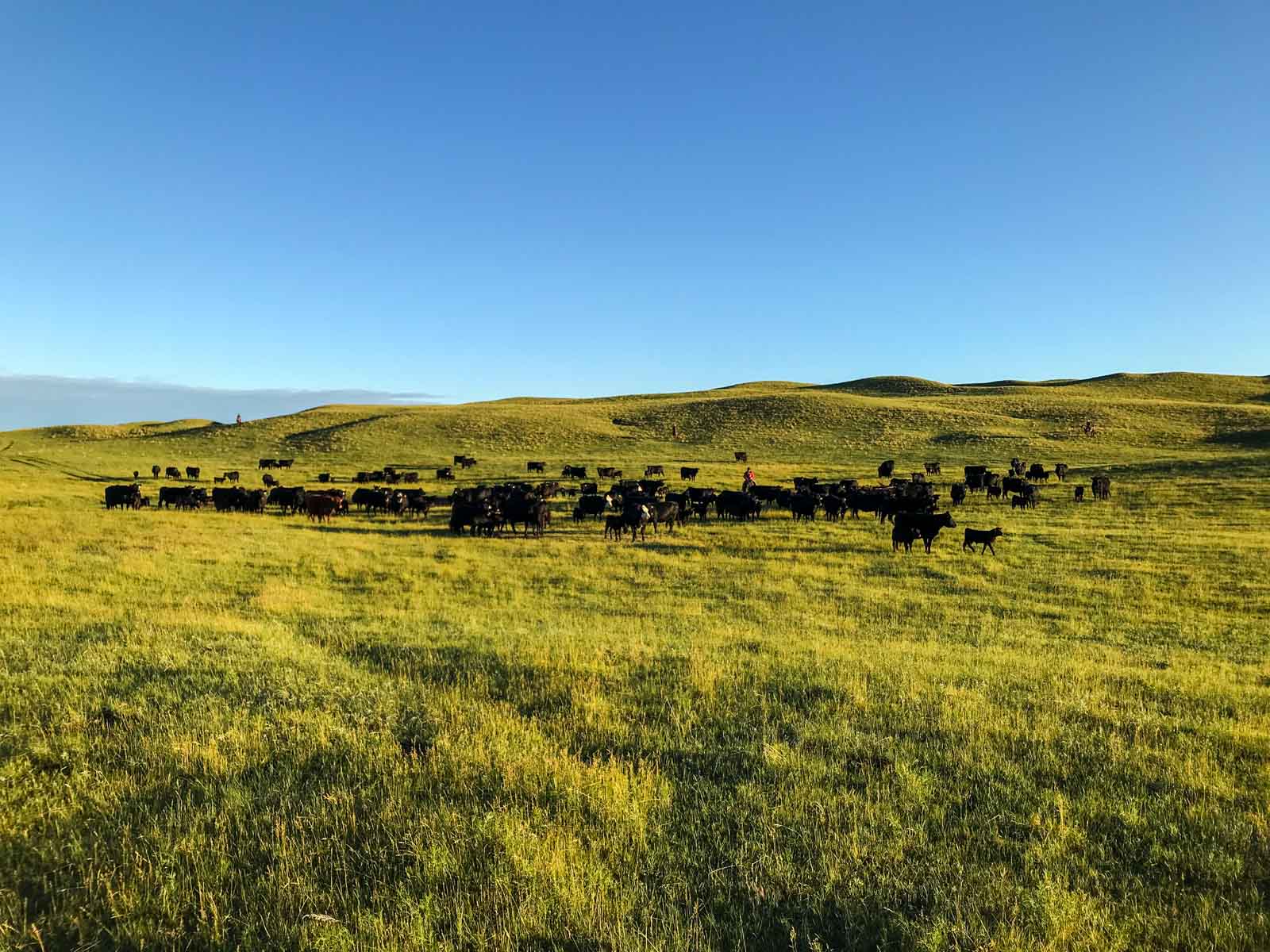 Dumbbell Ranch property picture 16 of 52