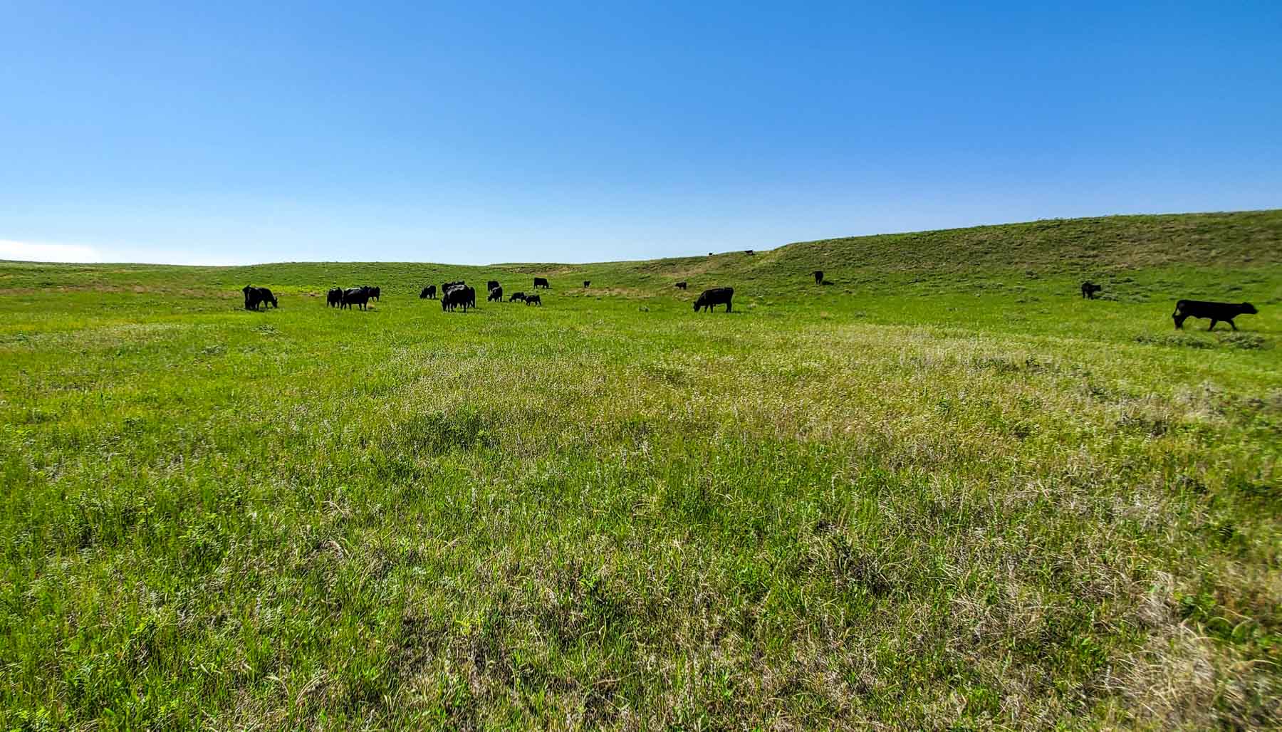 Dumbbell Ranch property picture 33 of 52