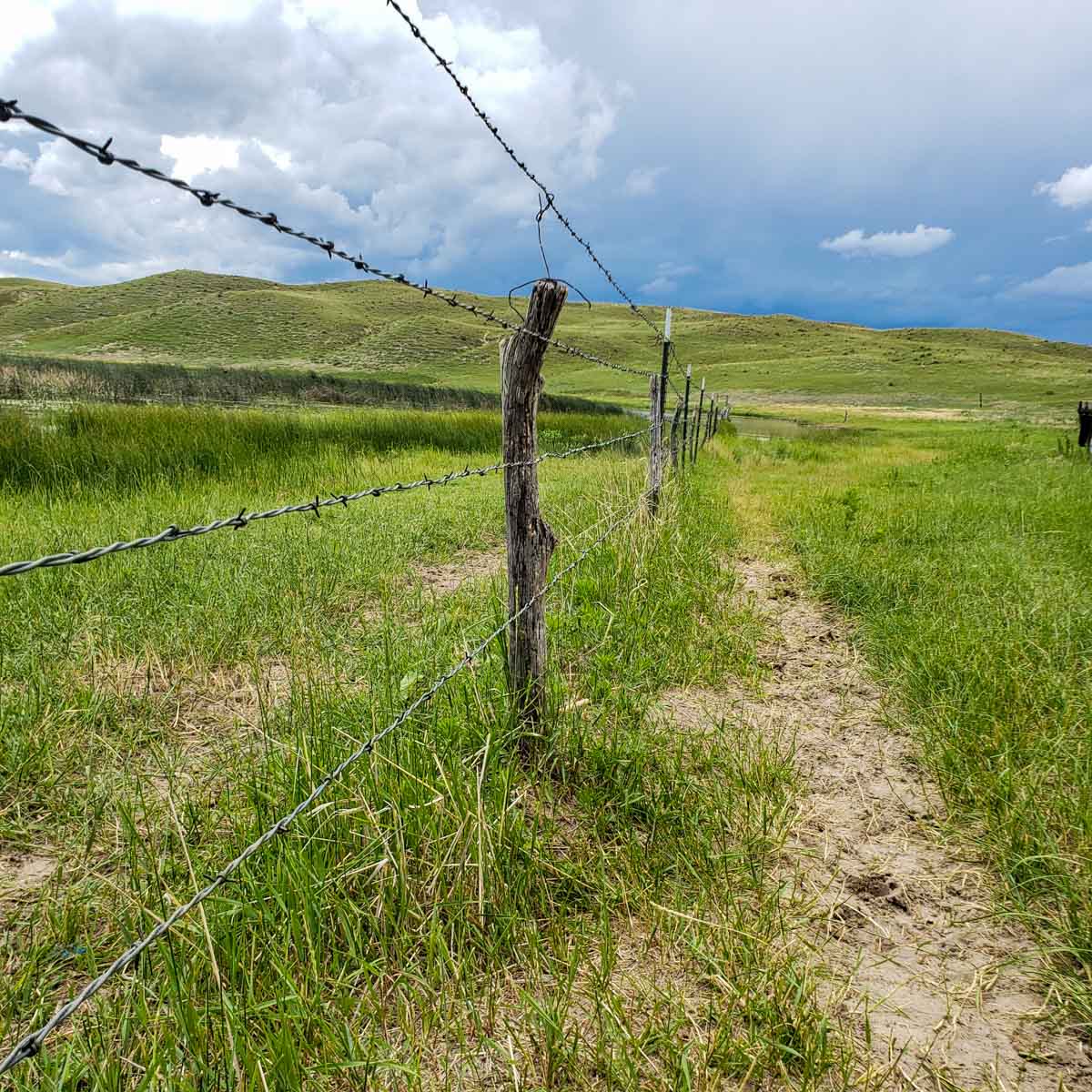 Dumbbell Ranch property picture 18 of 52