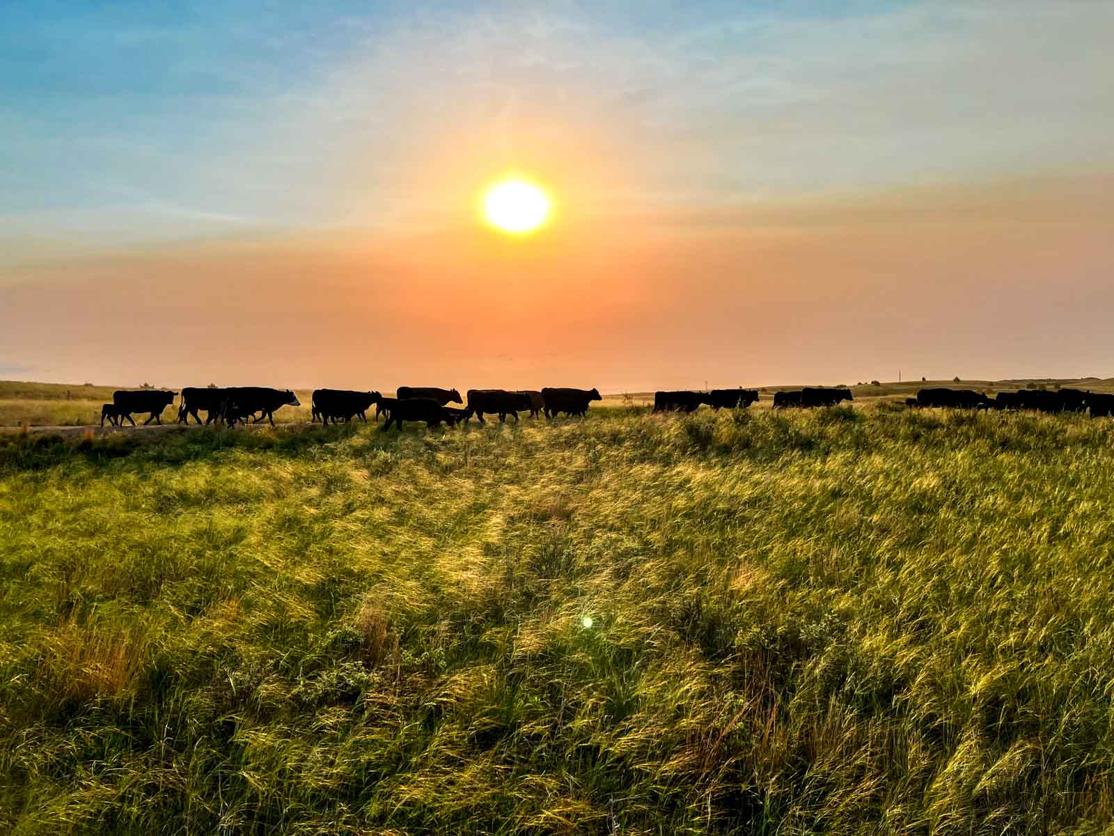 Dumbbell Ranch property picture 43 of 52