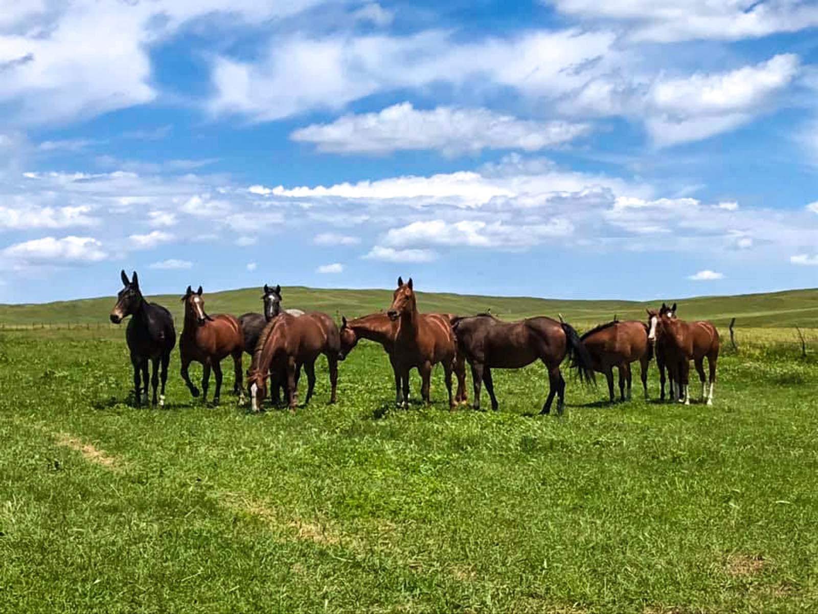 Dumbbell Ranch property picture 30 of 52