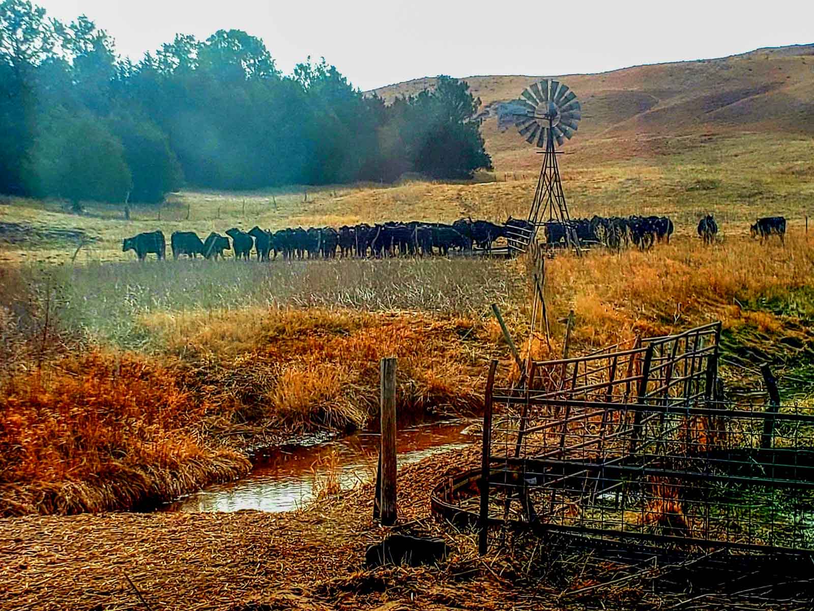 Dumbbell Ranch property picture 49 of 52