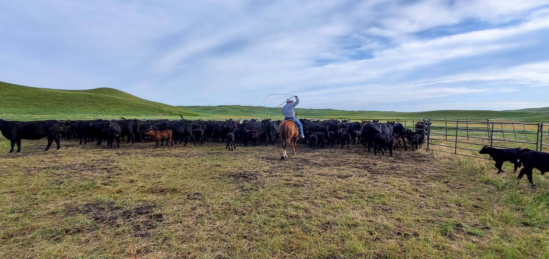 Dumbbell Ranch property picture 21 of 52