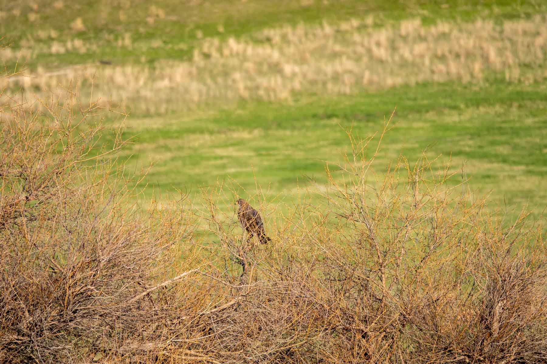 Barrick Farm property picture 3 of 23