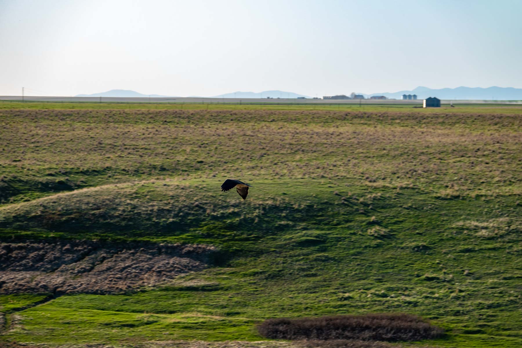 Barrick Farm property picture 13 of 23