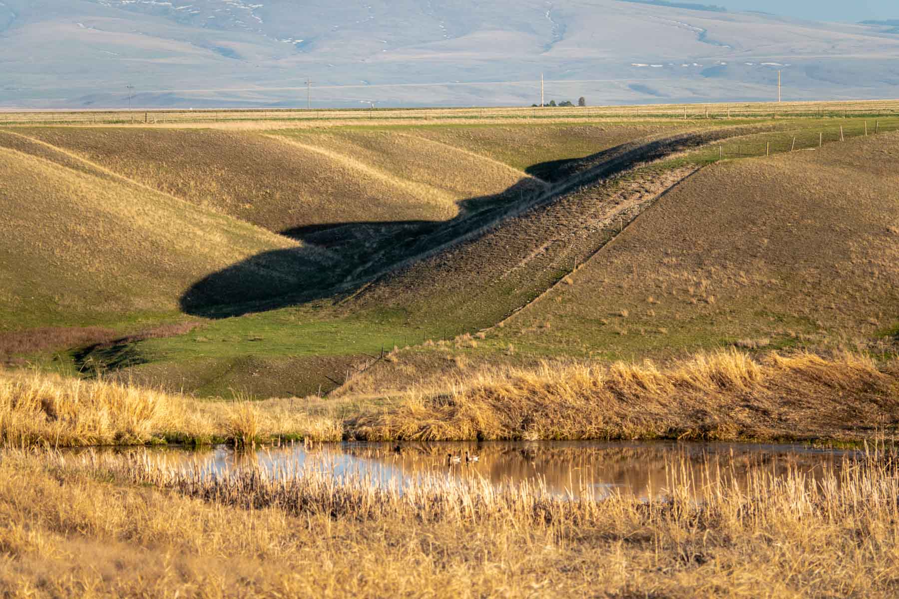 Barrick Farm property picture 4 of 23