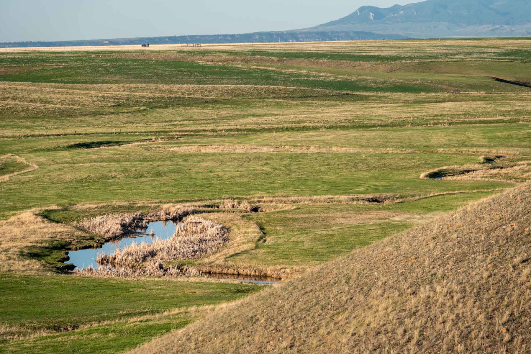 Barrick Farm property picture 17 of 23