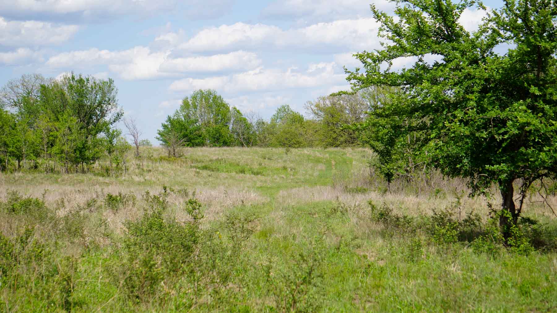 Middle Ridge Ranch property picture 19 of 29