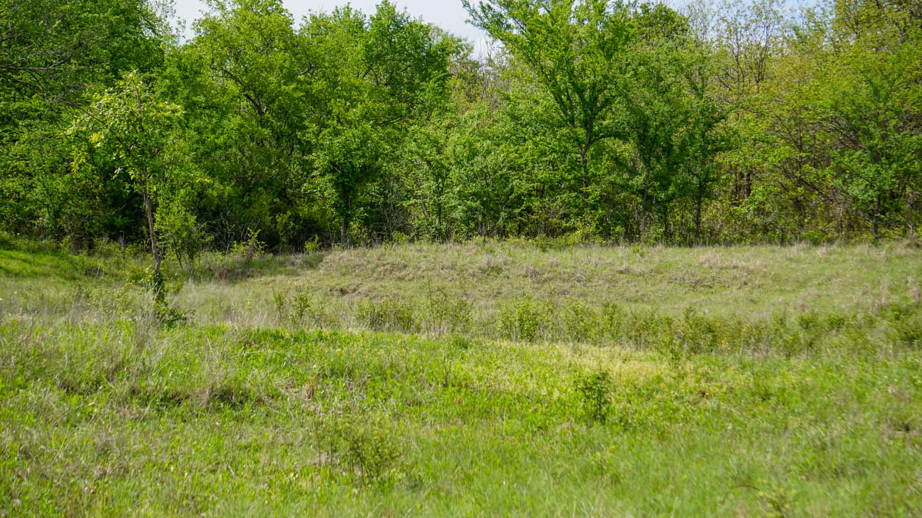 Middle Ridge Ranch property picture 20 of 29