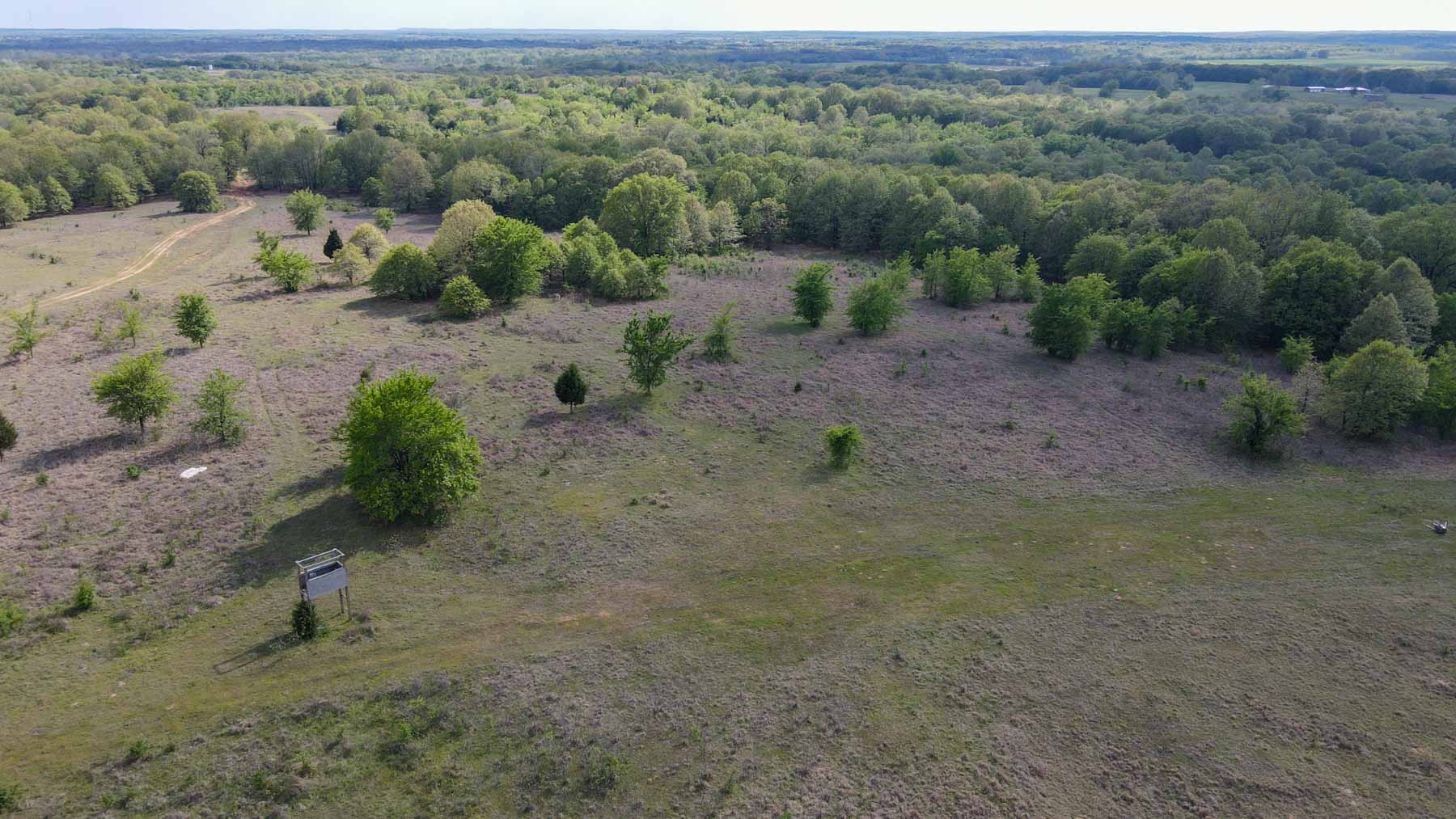 Middle Ridge Ranch property picture 27 of 29