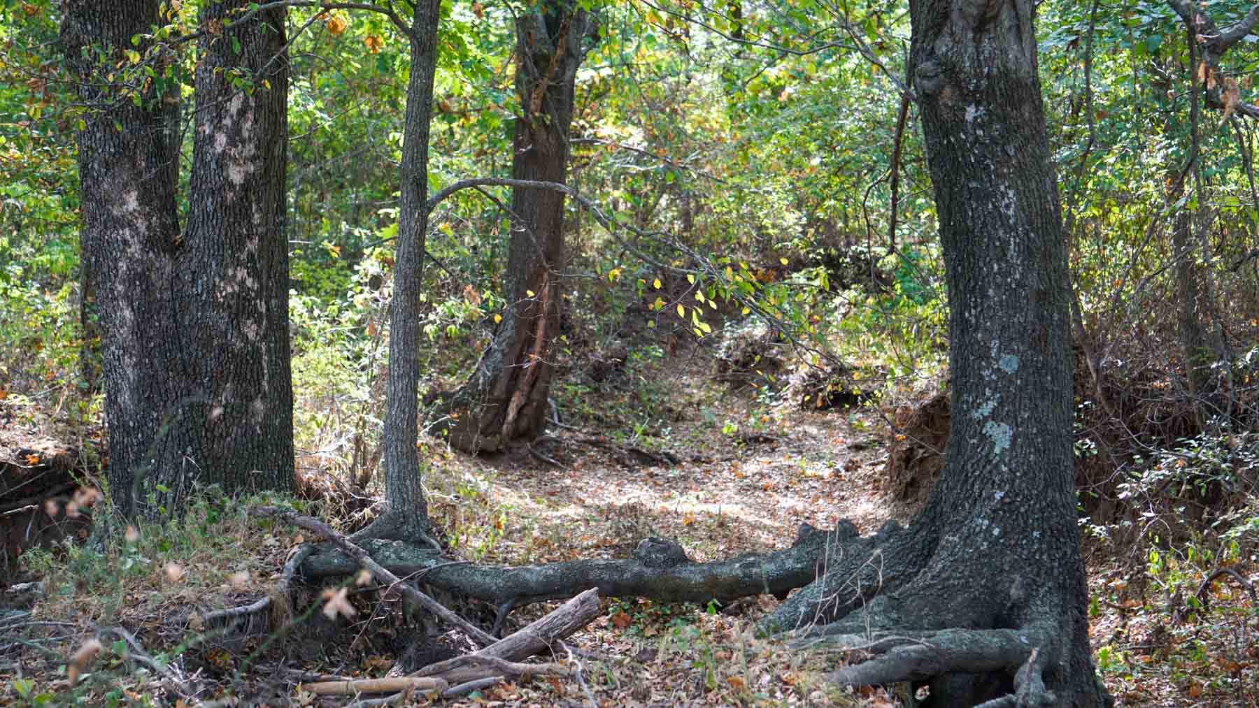 Middle Ridge Ranch property picture 11 of 29