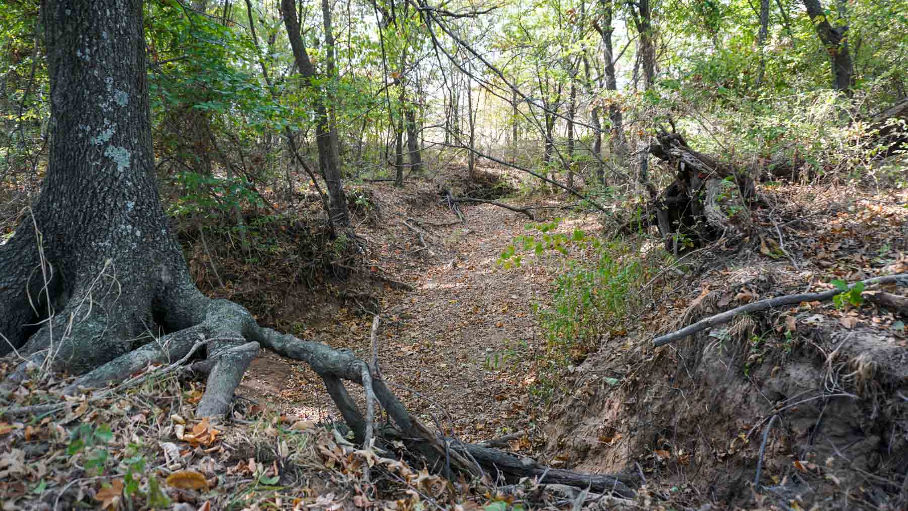 Middle Ridge Ranch property picture 12 of 29