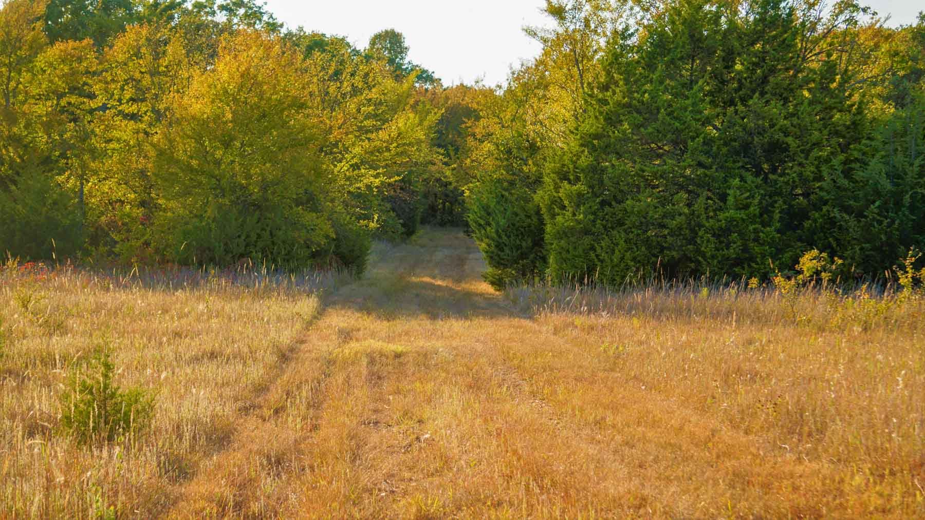 Middle Ridge Ranch property picture 9 of 29