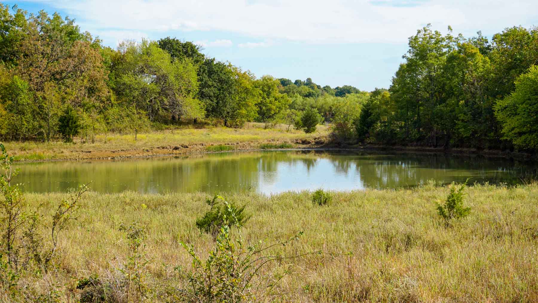Middle Ridge Ranch property picture 16 of 29