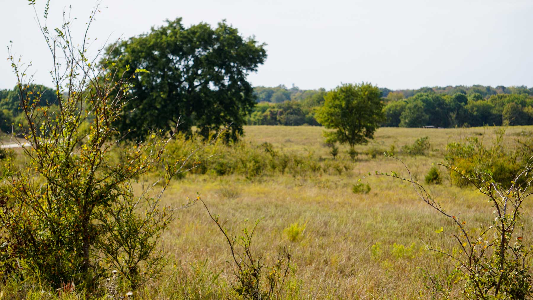 Middle Ridge Ranch property picture 8 of 29