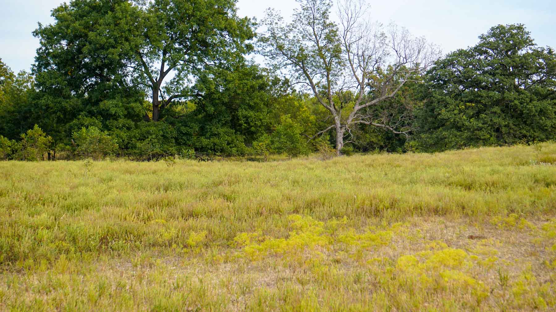 Middle Ridge Ranch property picture 5 of 29