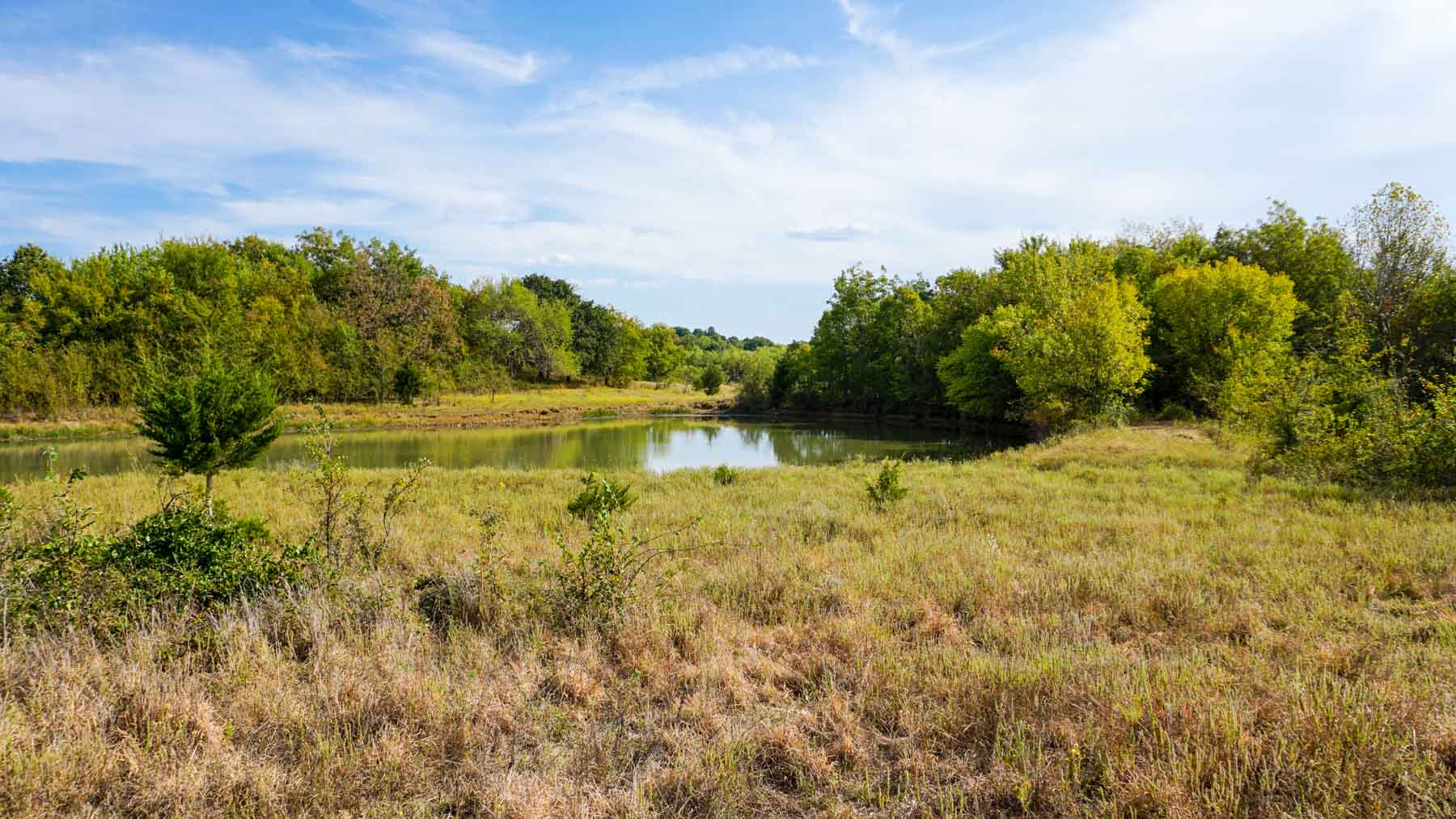 Middle Ridge Ranch property picture 18 of 29