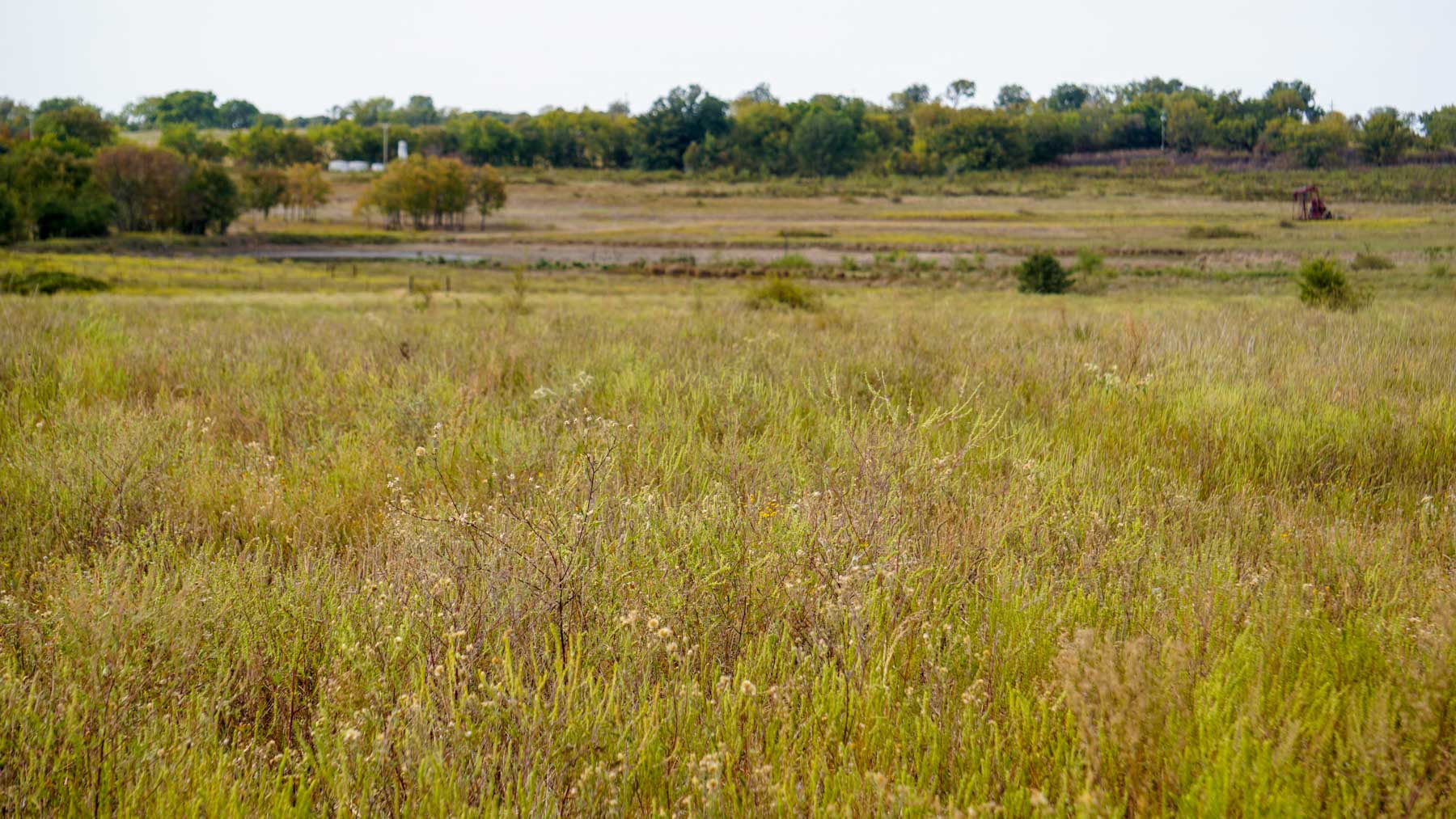 Middle Ridge Ranch property picture 6 of 29