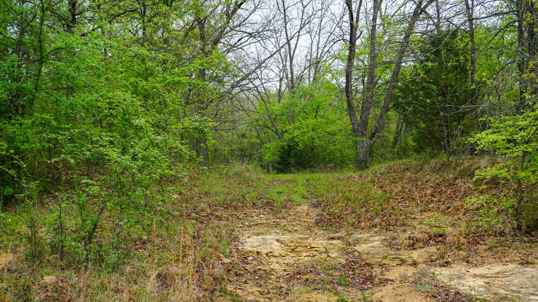 North Ridge Ranch property picture 17 of 43