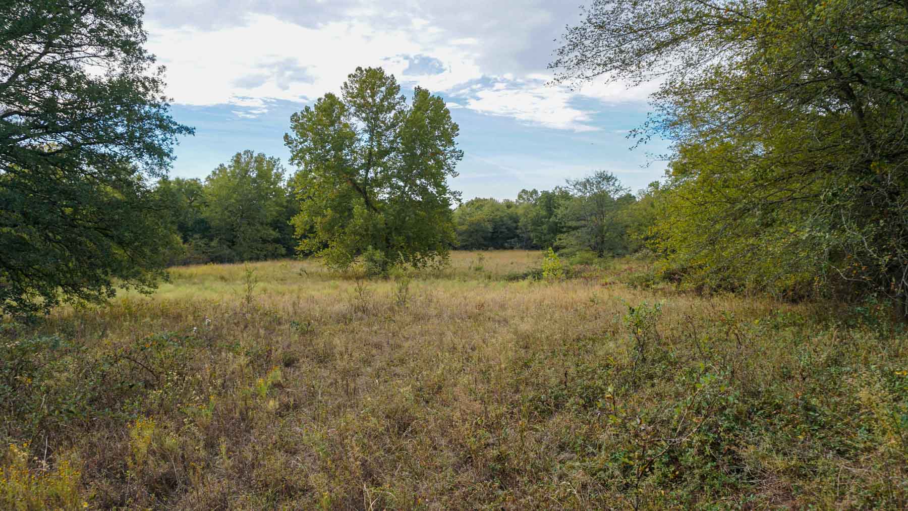 North Ridge Ranch property picture 6 of 43