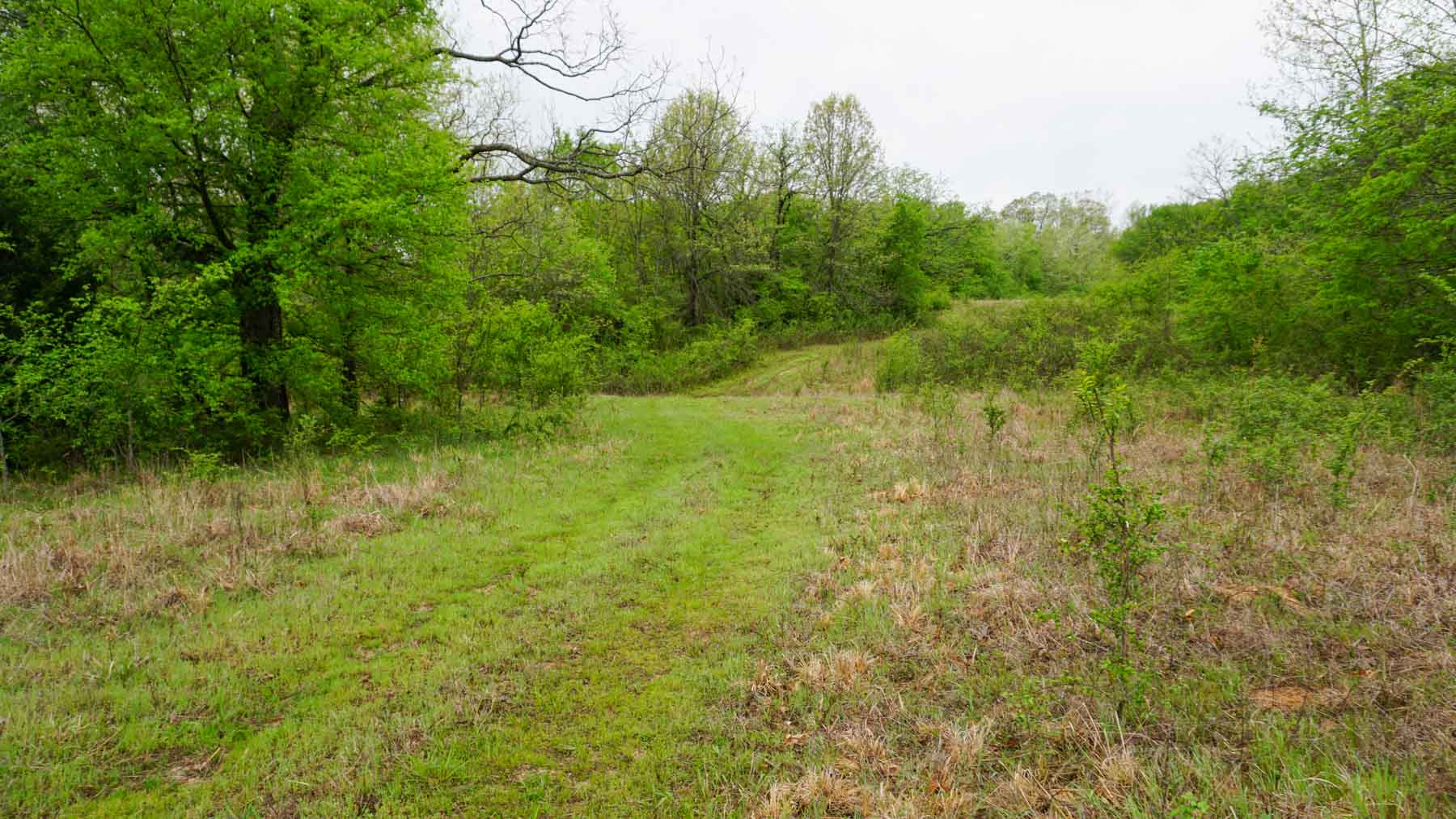 North Ridge Ranch property picture 18 of 43
