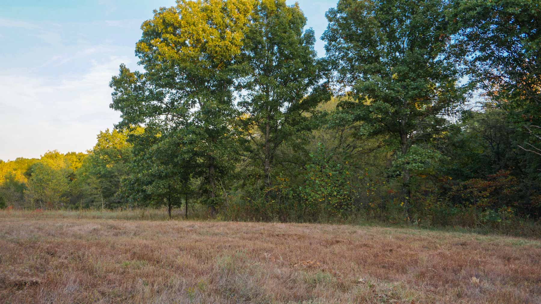 North Ridge Ranch property picture 4 of 43