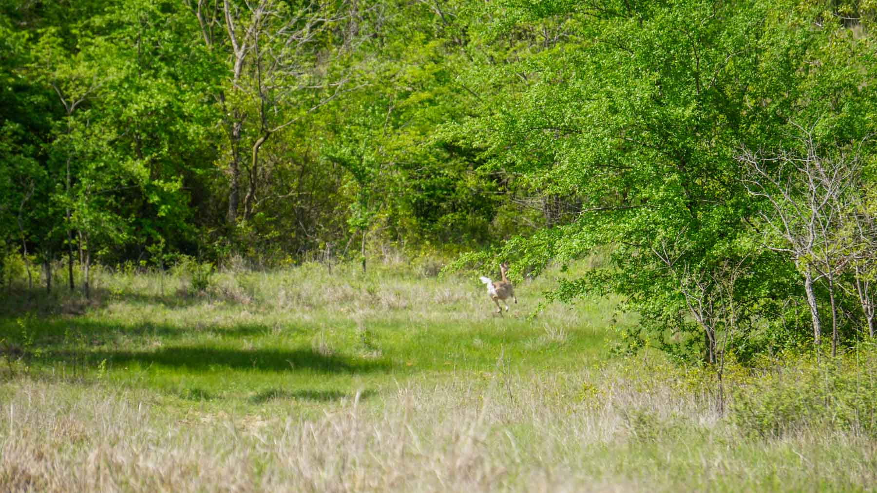 North Ridge Ranch property picture 35 of 43
