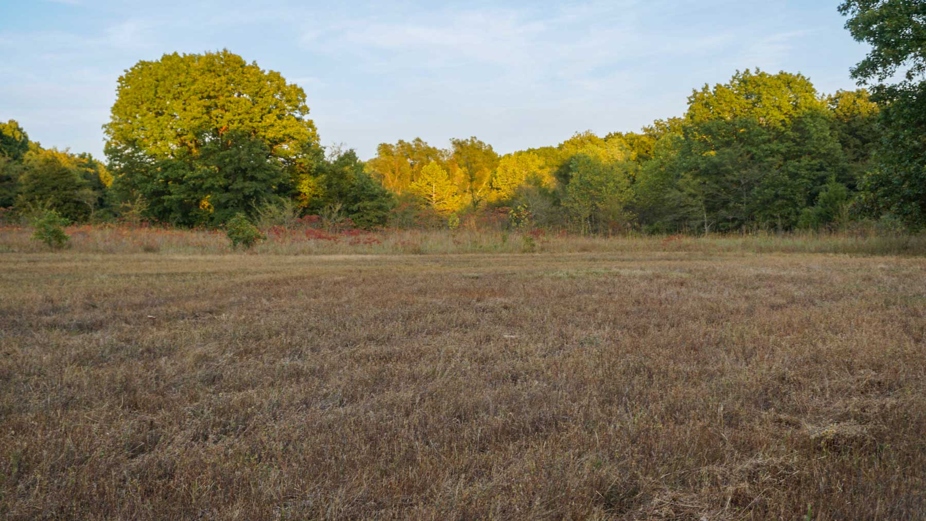 North Ridge Ranch property picture 3 of 43