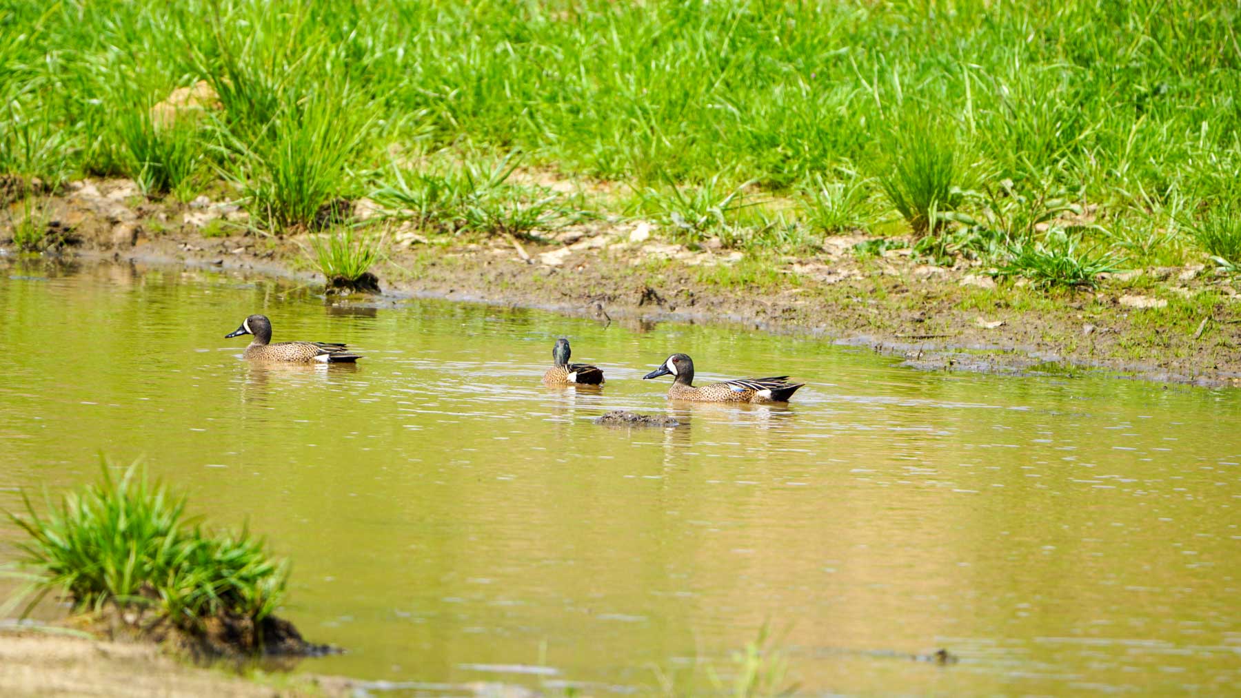 North Ridge Ranch property picture 29 of 43