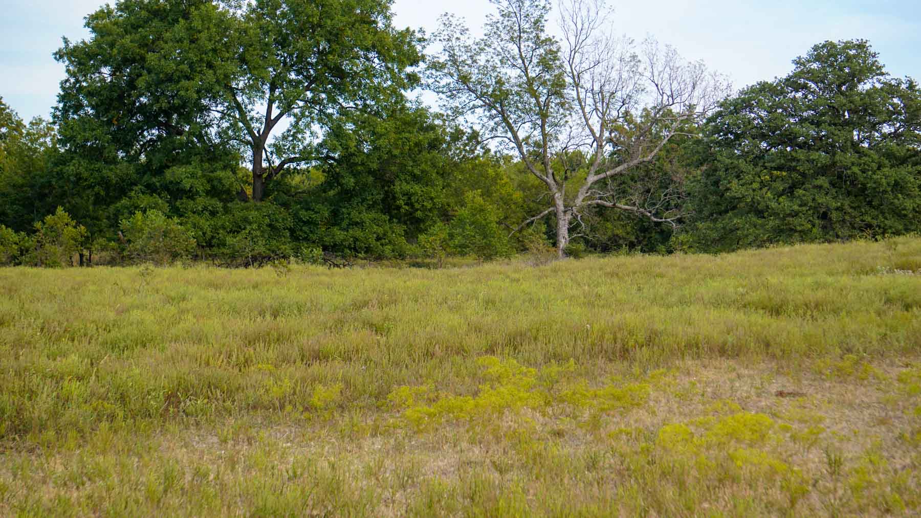 North Ridge Ranch property picture 2 of 43