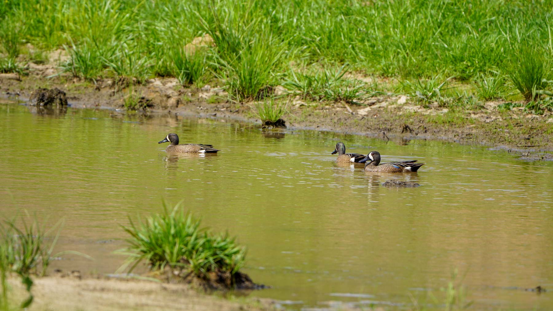 North Ridge Ranch property picture 30 of 43