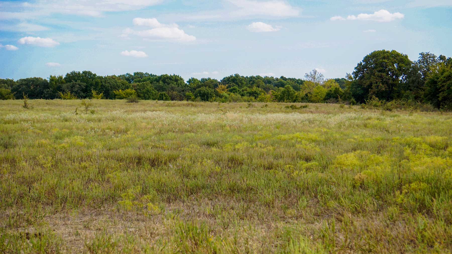 North Ridge Ranch property picture 13 of 43