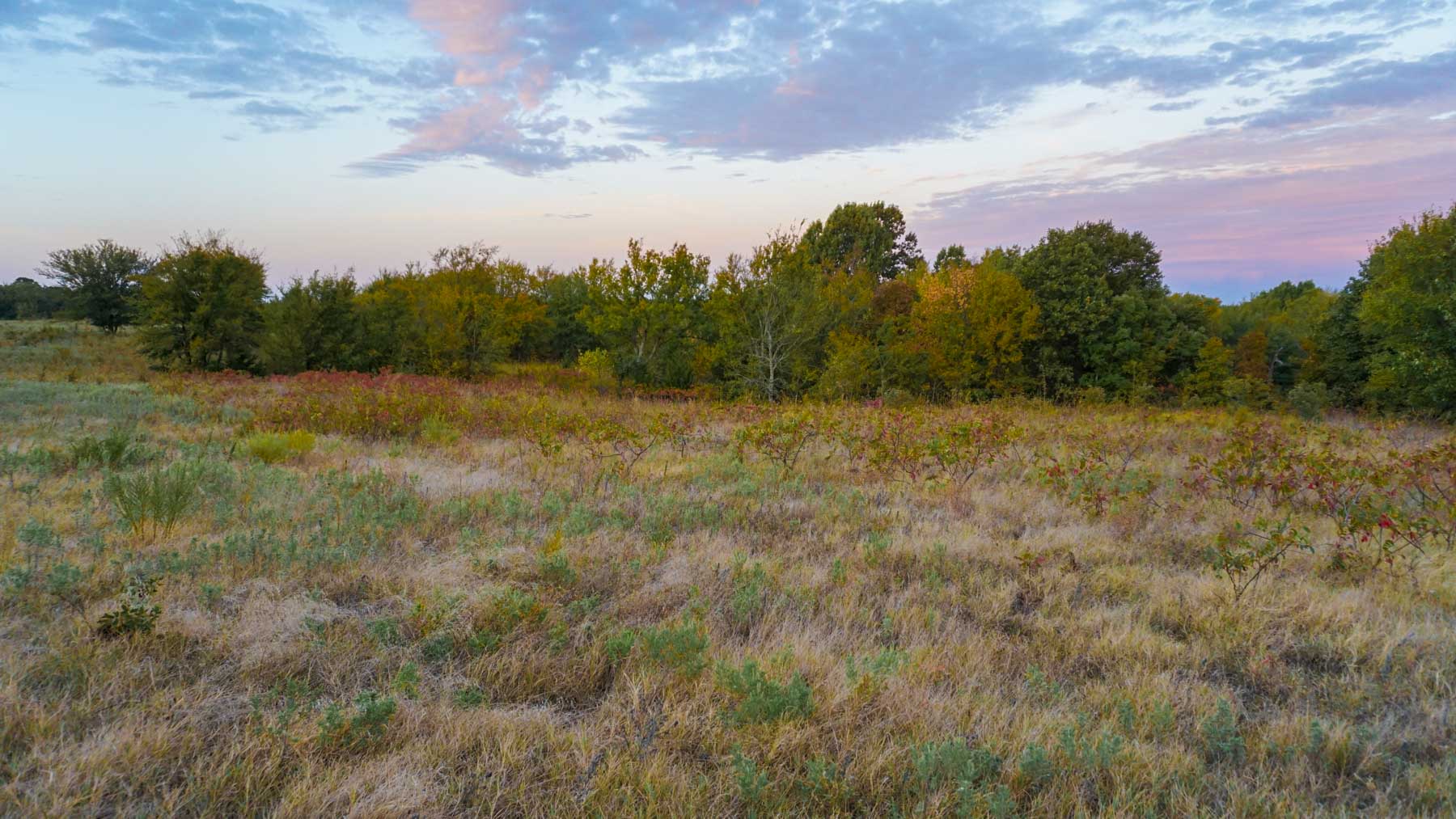 North Ridge Ranch property picture 5 of 43
