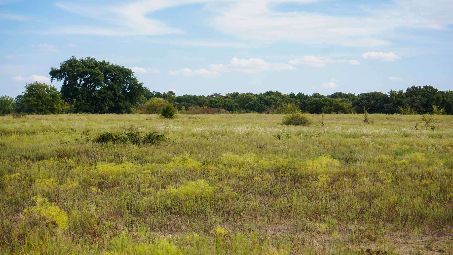 North Ridge Ranch property picture 12 of 43