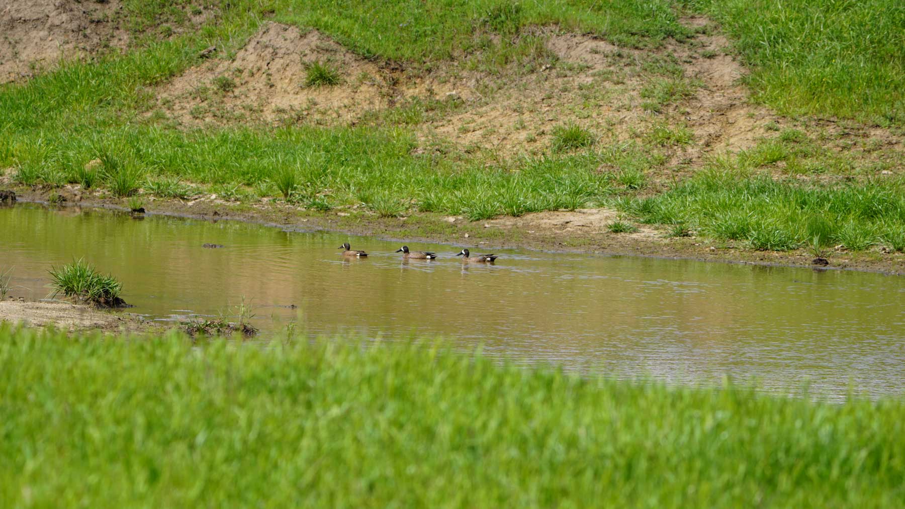 North Ridge Ranch property picture 28 of 43