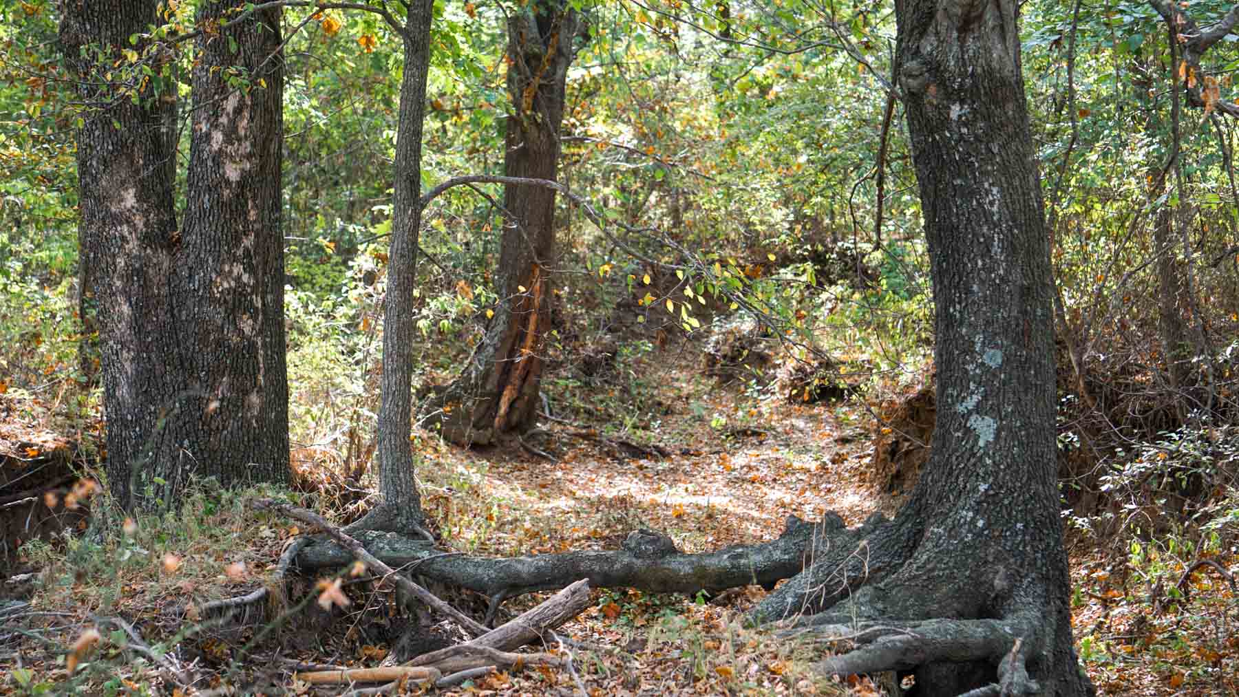 North Ridge Ranch property picture 14 of 43