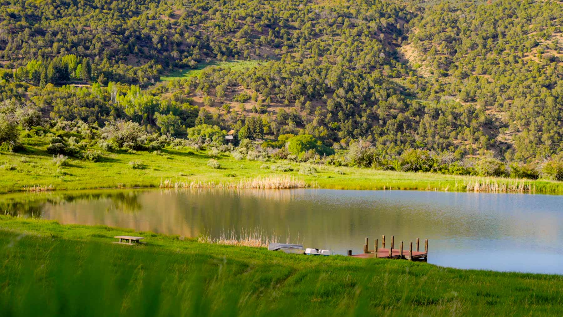 Downing Bend Ranch property picture 29 of 91