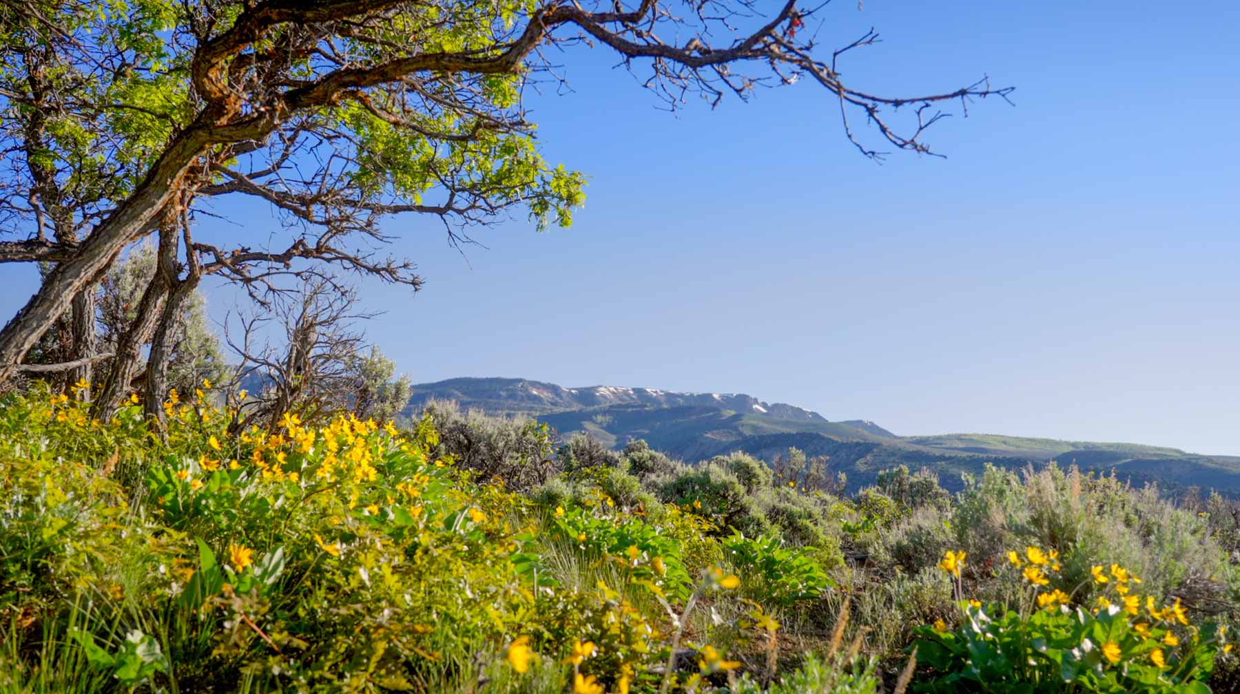 Downing Bend Ranch property picture 22 of 91