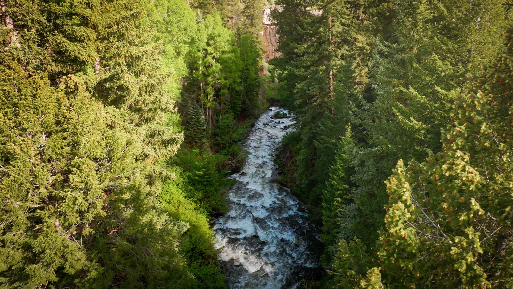 Downing Bend Ranch property picture 9 of 91