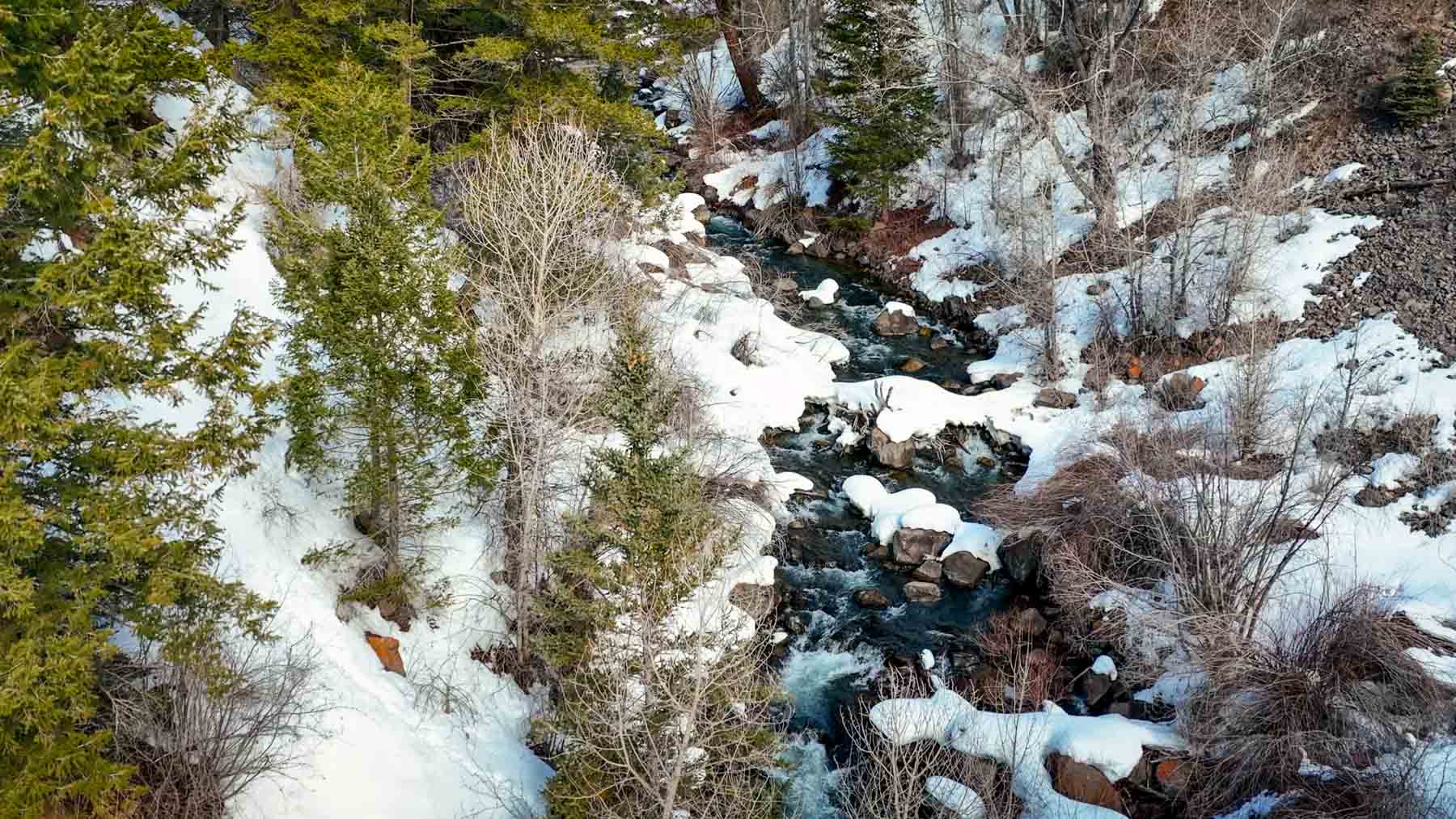 Downing Bend Ranch property picture 70 of 91