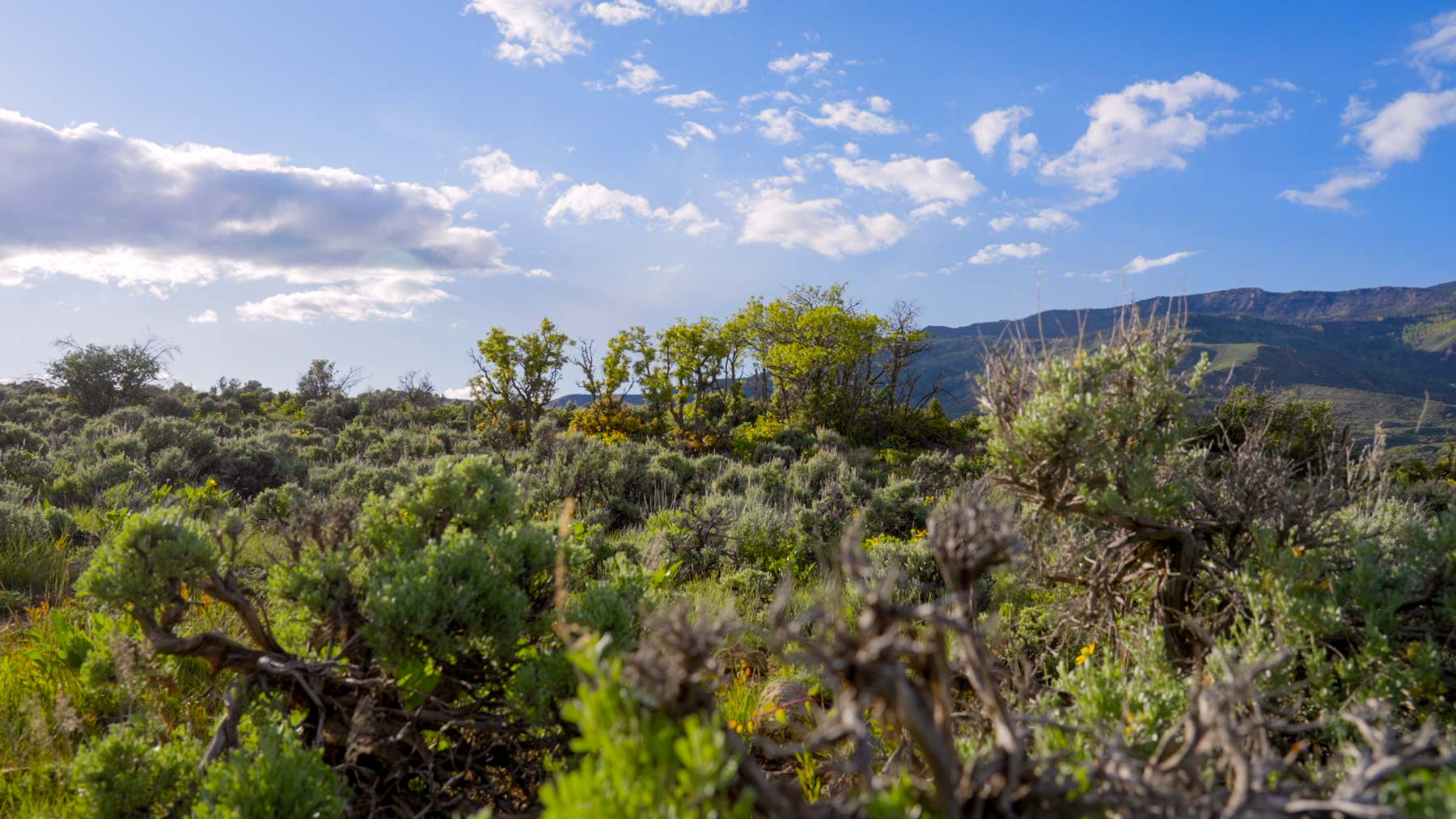 Downing Bend Ranch property picture 33 of 91