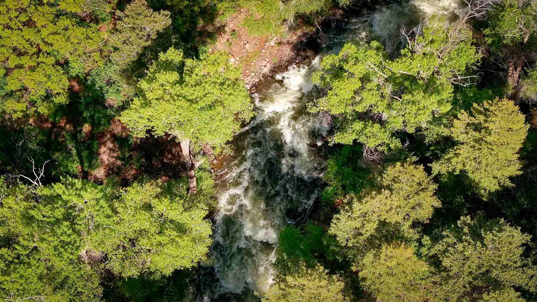 Downing Bend Ranch property picture 2 of 91